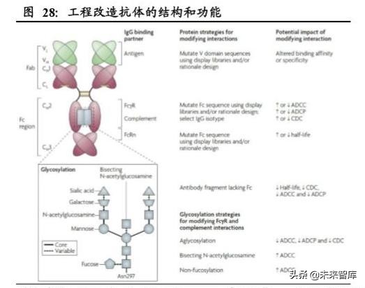 生物医药专题之单抗行业深度报告