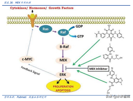 医药行业龙头恒瑞医药深度解析（74页）