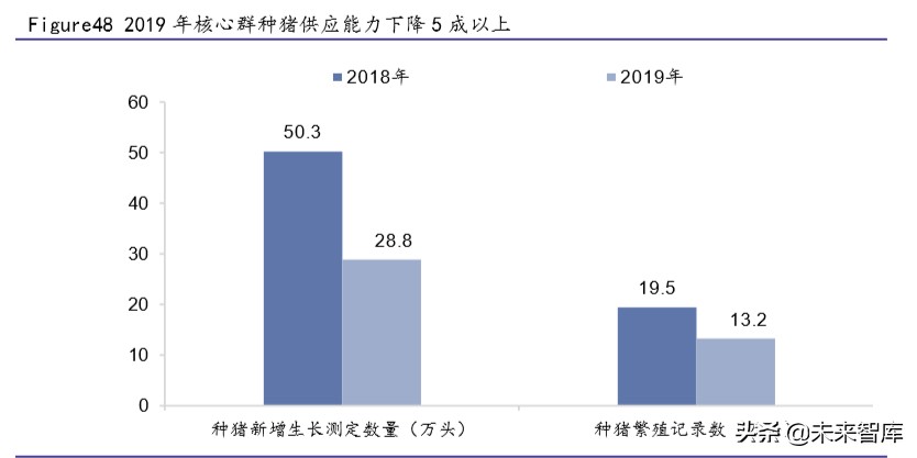 生猪养殖行业专题报告：生猪价格仍处于高位，建议关注龙头