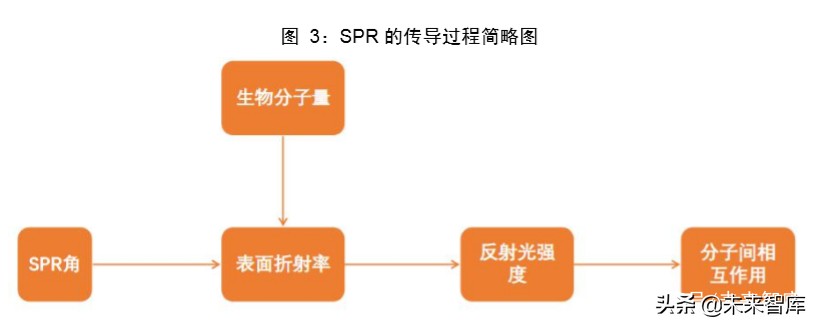 医疗检测设备专题报告：新一代SPR技术检测平台市场研究
