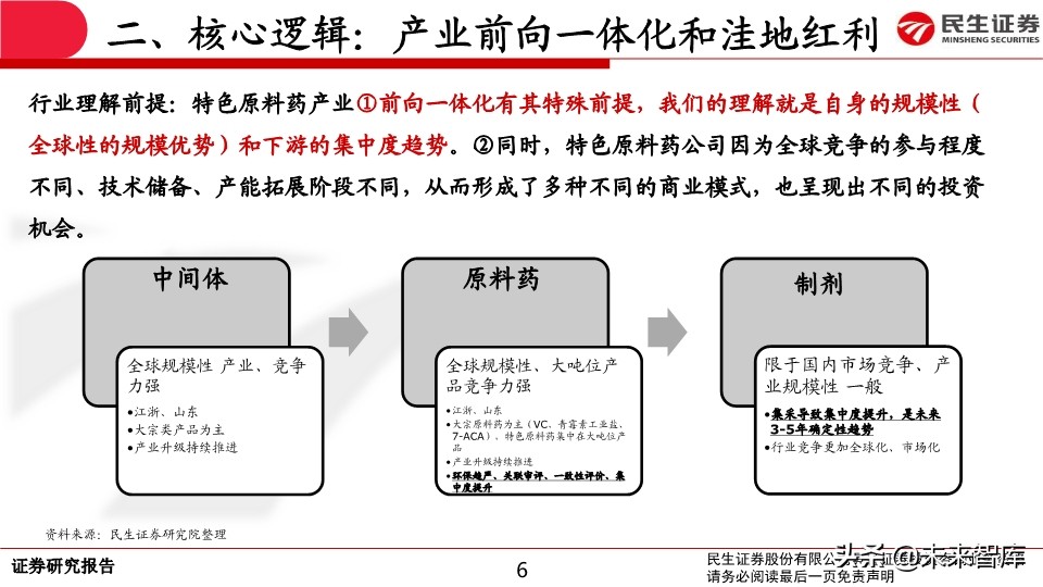 特色原料药行业专题报告：API行业生态演绎认识