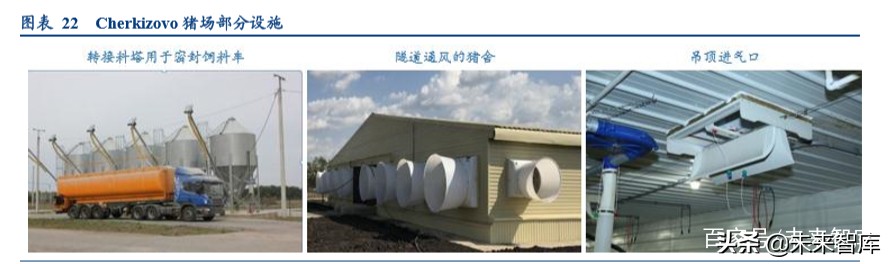 动物保健行业深度报告：后非瘟时代的动保行业逻辑演绎