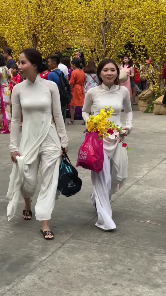 响哥在越南生活