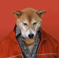 死心的够钟头像