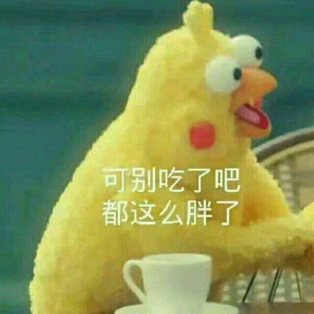彩虹558
