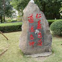 仙人指路61111440头像