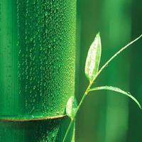 说的不对请指教头像