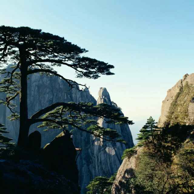 一山飞峙1
