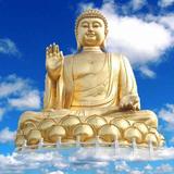 头陀4头像