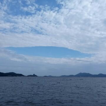 长岛老冯