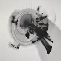 小灰机说车头像