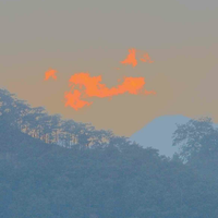 太书头像