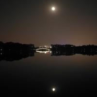 凌柯58689238头像