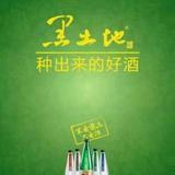 王艳涛95297头像