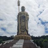 一转身便是一生27413头像
