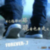 时光里，迷了路