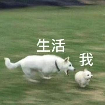 执着不屈