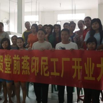 堂前燕印尼燕窝批发