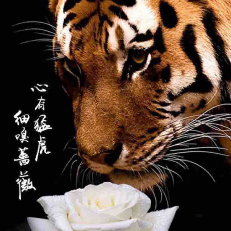 国际那点事儿