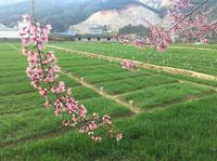 家乡50071957157头像