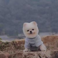 开朗远山Dh头像