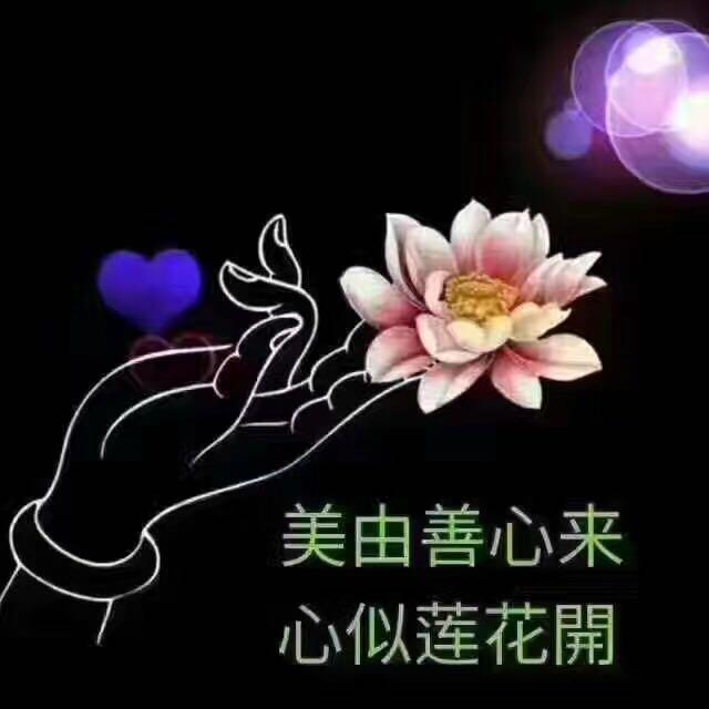 可心6445002610480 头条问答