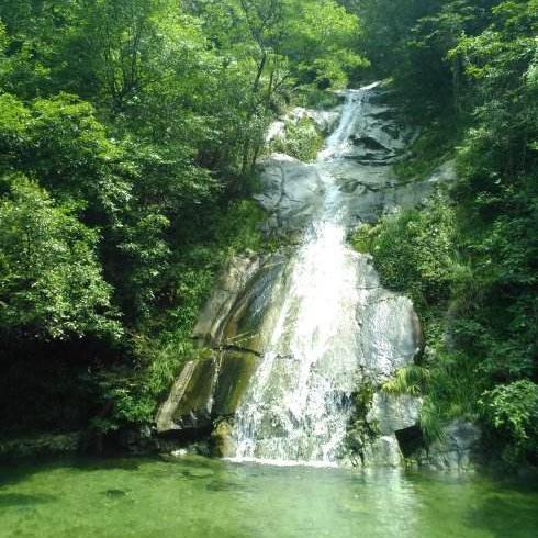 高山流水居士头像