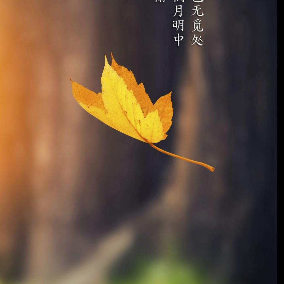 北望大坡滩