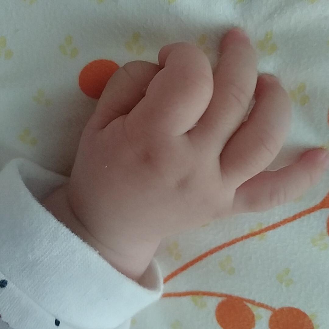 晗xiao韩