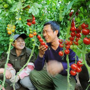 乡土农情助农爱农头像