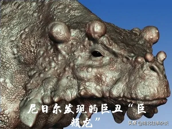 2.5亿|中国发现2.5亿年前九峰吐鲁番兽 山海经里的生物被挖出来了？