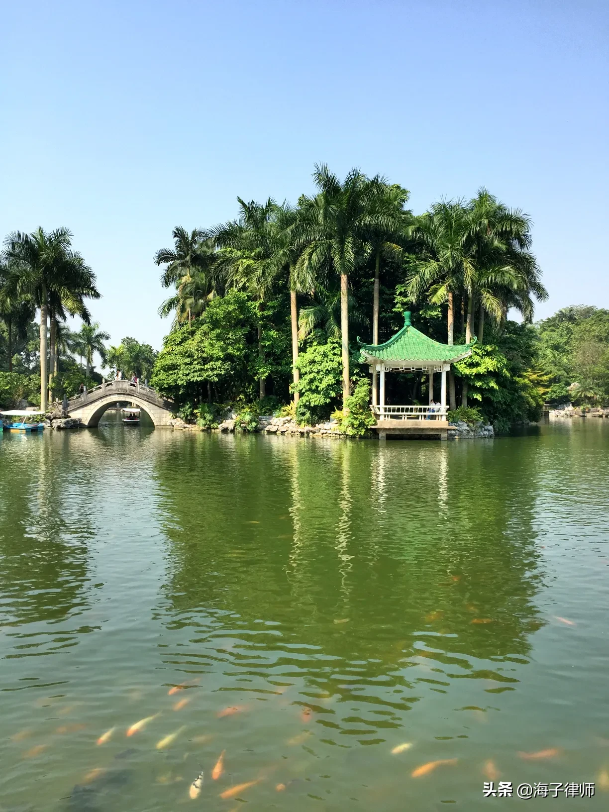 上万|广西青秀山上万人争烧头香 为何祈福也要赶早?