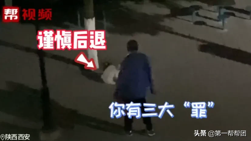 训话|高校大爷训话猫咪要做有礼貌的猫 流浪猫要求也这么严格吗？