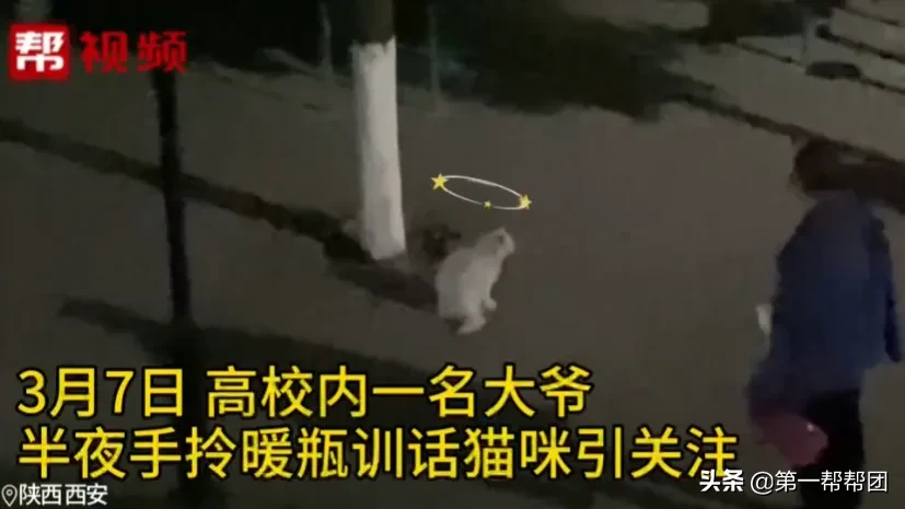 训话|高校大爷训话猫咪要做有礼貌的猫 流浪猫要求也这么严格吗？