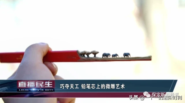 笔芯|小伙在一支铅笔芯上雕出三只大象 高手在民间