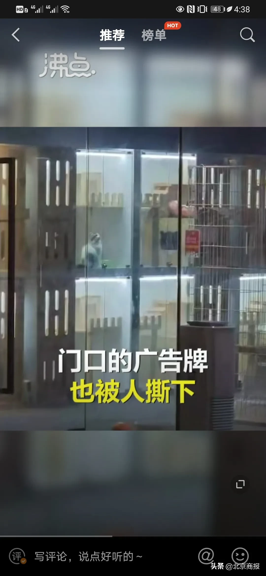 9块|共享猫咪9块9租一天 已关门歇业广告已被撕下