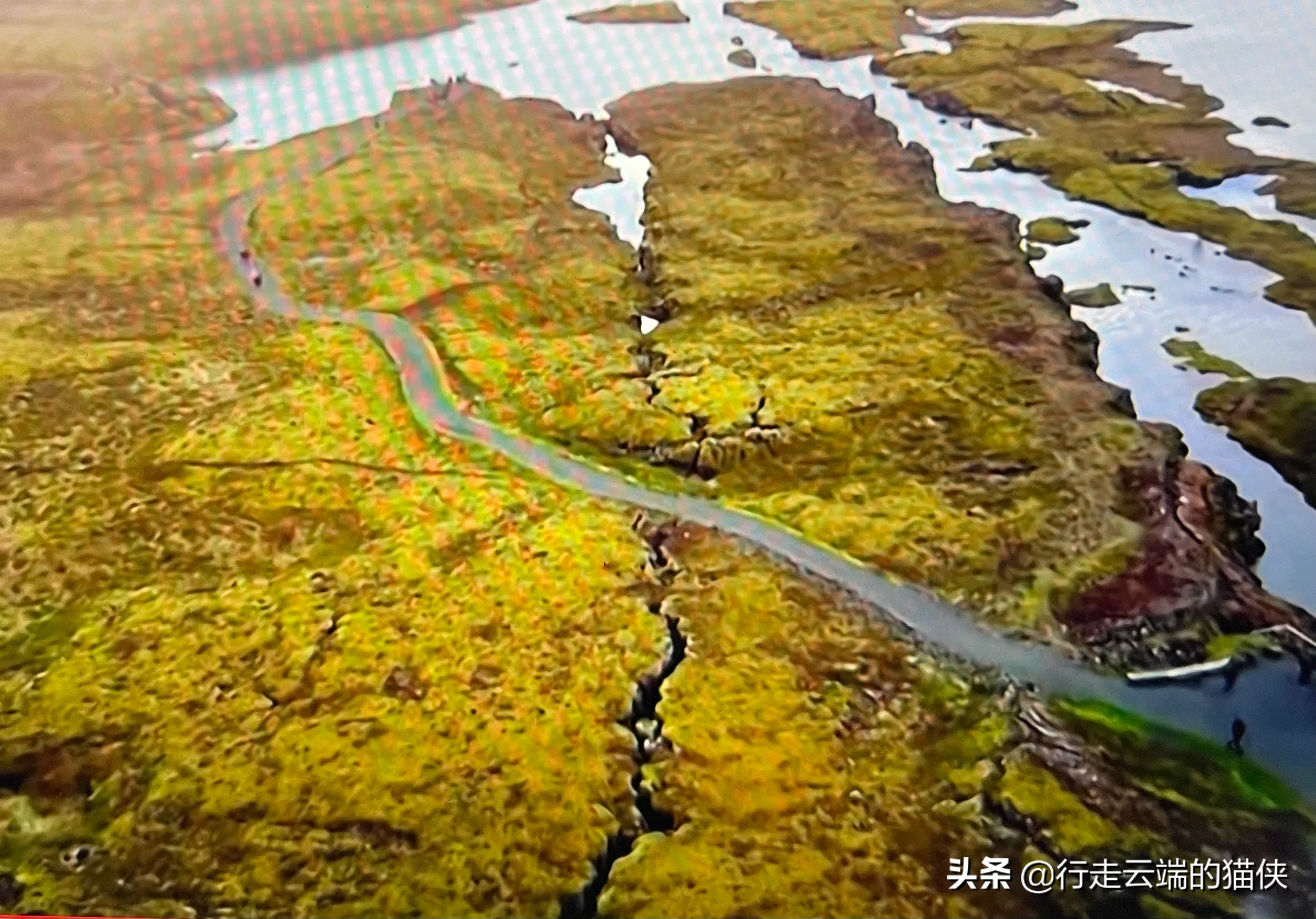 2万|10天地震2万次冰岛火山或将喷发 冰岛火山真要爆发了么？