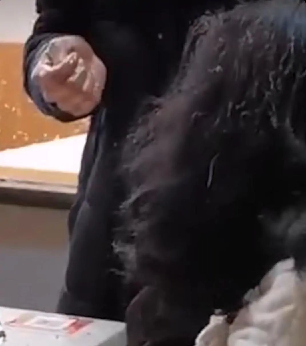 爆炸|顾客称吃烤鱼爆炸被烫伤 愿这位受伤的女子早日康复