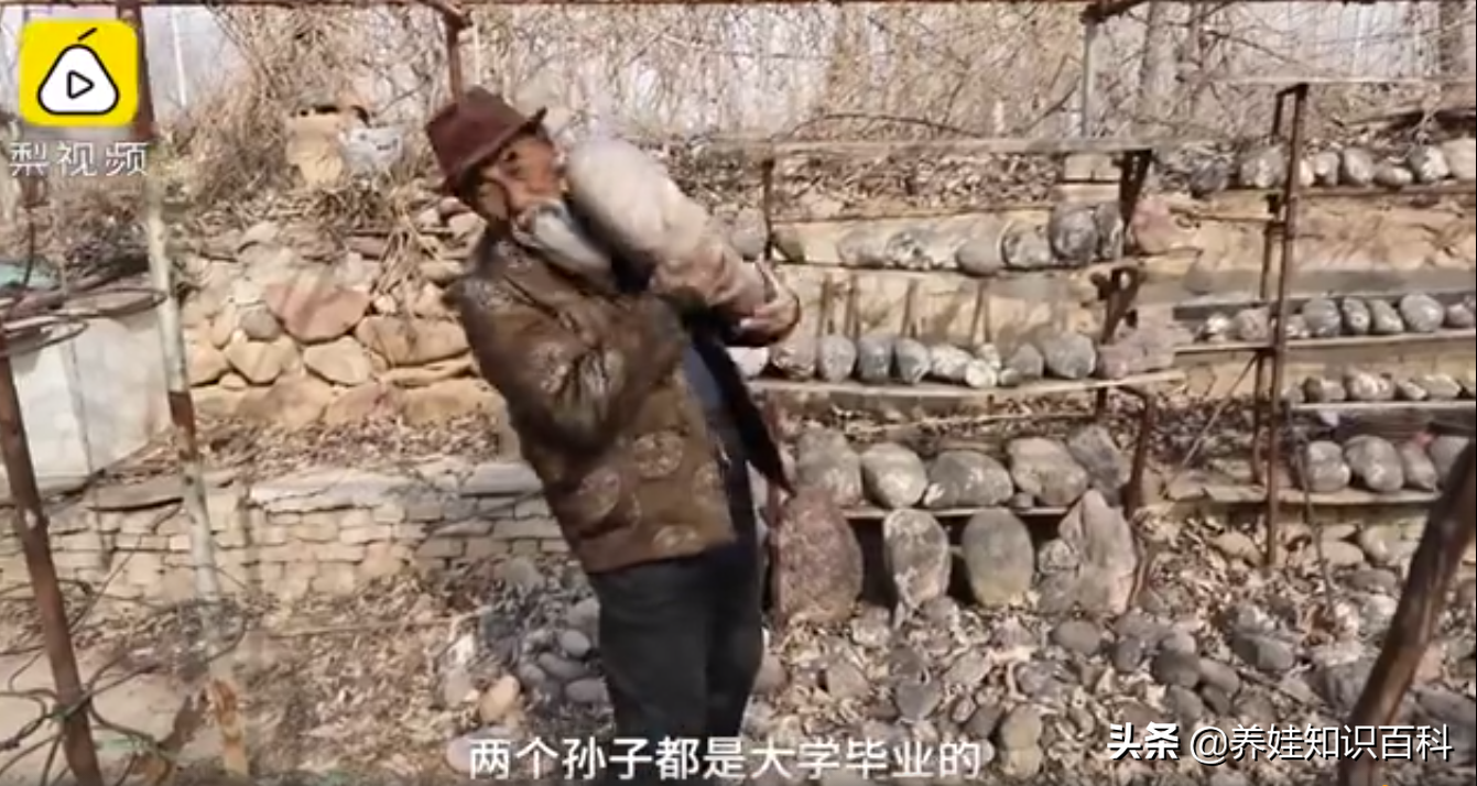 两个|老人靠卖石头供两个孙子读完大学 为老大爷点赞
