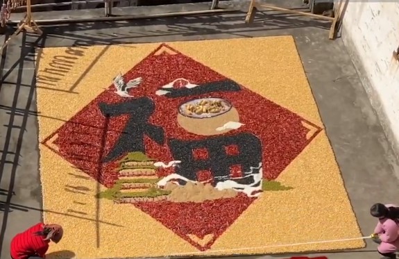 五谷|江西阿姨用五谷晒出20平方米福字 回头收的时候需要一粒粒收吗?