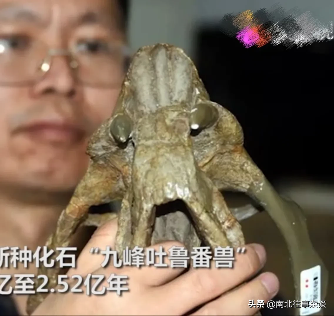 2.5亿|中国发现2.5亿年前九峰吐鲁番兽 山海经里的生物被挖出来了？