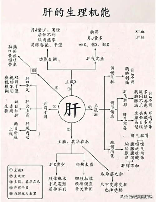 中医五脏知识(五脏中医知识，不会的朋友收藏好！)
