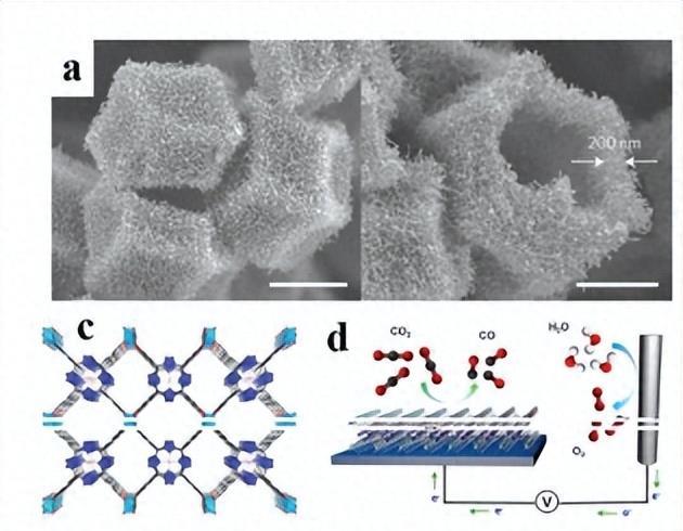 Rational design of transition metal-based materials for efficient ...