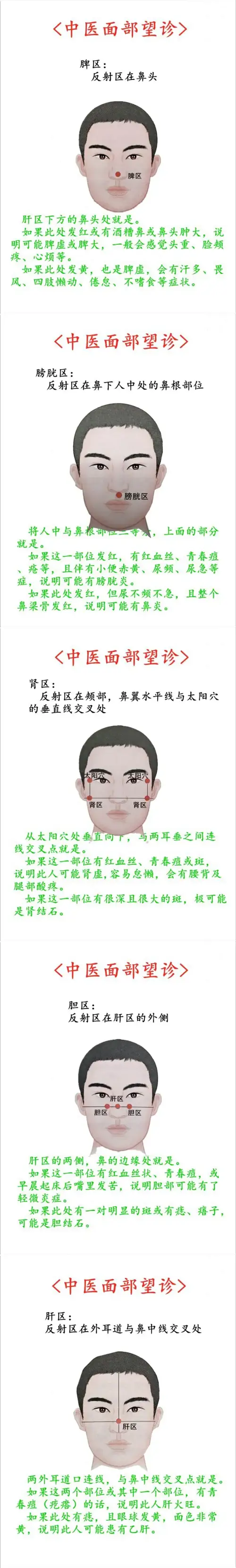 中医望诊是基础的辨证手段，建议了解(2023年)