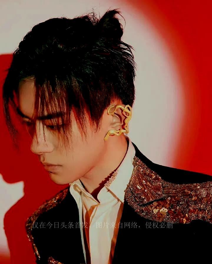 Male Star Awards "Earrings" Zhu Yilong has a tough guy style, Lu Han is ...