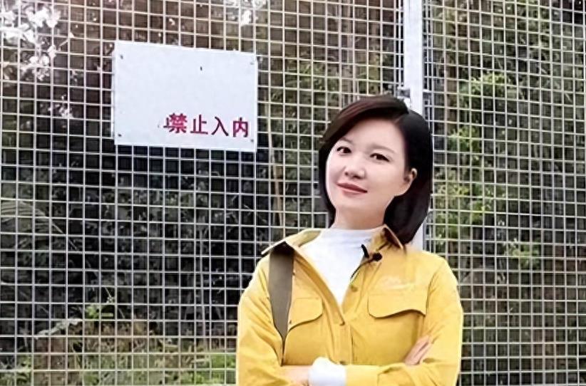 From host to producer, Chen Rong's magnificent transformation - iMedia