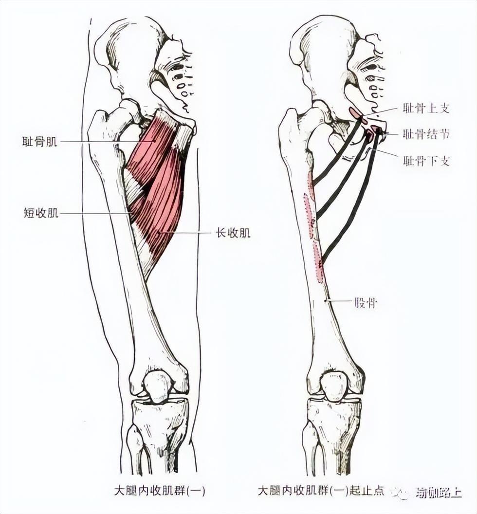 Can't do downward dog pose in yoga? 90 of people don't activate their