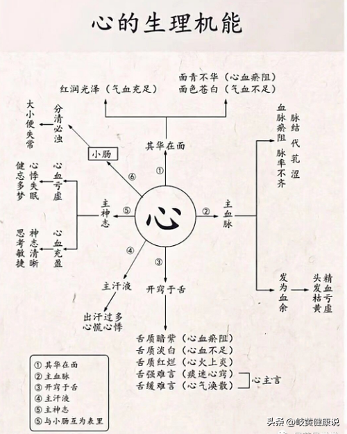 中医五脏知识(五脏中医知识，不会的朋友收藏好！)