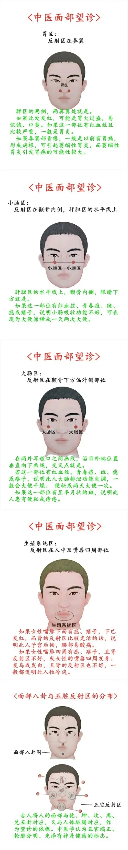 中医望诊是基础的辨证手段，建议了解(2023年)