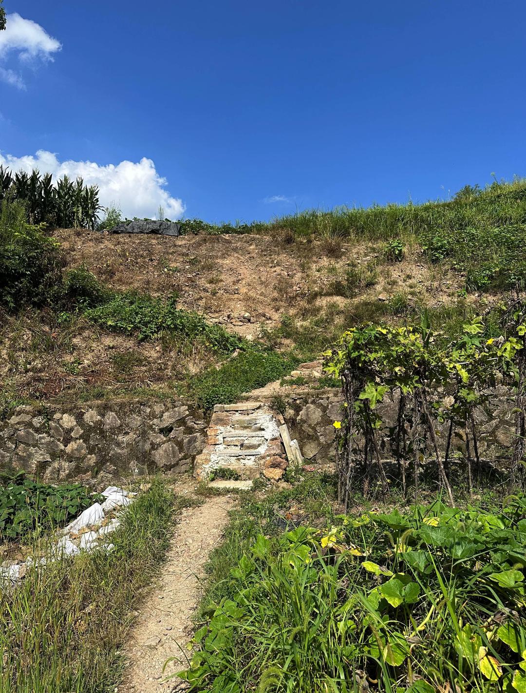 Photographing a superstar's private life, accidentally exposed? ! iMedia